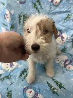 processed/0b91024d-6ca3-444d-bacc-fe2720fcc942/listing/1ffcb7b0-5837-4040-93cc-9f6e73c1cd4e/de09de60-1f2a-40ba-a13c-e212b97b3741