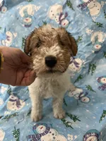 processed/0b91024d-6ca3-444d-bacc-fe2720fcc942/listing/2ab7b273-3fa2-4a19-b91f-719d8250f41f/1e393a16-6a68-46ba-a9e3-e954b4360ca4