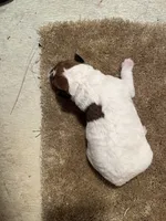 processed/0b91024d-6ca3-444d-bacc-fe2720fcc942/listing/2ab7b273-3fa2-4a19-b91f-719d8250f41f/7cb01b39-b63b-4f26-9730-9b5938ef0dd5