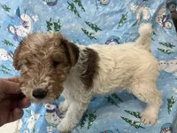 processed/0b91024d-6ca3-444d-bacc-fe2720fcc942/listing/2ab7b273-3fa2-4a19-b91f-719d8250f41f/9fda771d-b11e-49a8-b43b-1a6d4dc909eb