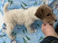 processed/0b91024d-6ca3-444d-bacc-fe2720fcc942/listing/2ab7b273-3fa2-4a19-b91f-719d8250f41f/bd330808-adba-4745-bbd7-4bd63d78716b