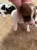 processed/0b91024d-6ca3-444d-bacc-fe2720fcc942/listing/2ab7b273-3fa2-4a19-b91f-719d8250f41f/ecc22163-5f46-4d05-9acd-7b632b898b32