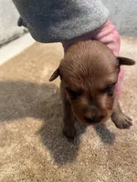 processed/0b91024d-6ca3-444d-bacc-fe2720fcc942/listing/30054c32-e158-4d39-9668-72221cc3e7ba/150d9a9f-5c1c-4cbf-89f4-9cd912518a6f