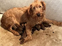 processed/0b91024d-6ca3-444d-bacc-fe2720fcc942/listing/30054c32-e158-4d39-9668-72221cc3e7ba/25751dab-7bd5-4222-814d-de1b4ad7930a