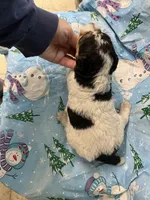 processed/0b91024d-6ca3-444d-bacc-fe2720fcc942/listing/5ee547c9-cbc1-4b87-bc3e-e7a40fcd9e57/1f6af150-8153-42a7-87cd-c3b1c4a77c6a