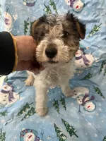 processed/0b91024d-6ca3-444d-bacc-fe2720fcc942/listing/5ee547c9-cbc1-4b87-bc3e-e7a40fcd9e57/4ad3d8e3-30e6-4f48-b14e-c4084e67e80e