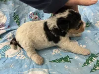 processed/0b91024d-6ca3-444d-bacc-fe2720fcc942/listing/5ee547c9-cbc1-4b87-bc3e-e7a40fcd9e57/5e483cba-4456-47d3-86b2-d64674ff3e85