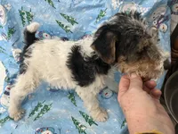 processed/0b91024d-6ca3-444d-bacc-fe2720fcc942/listing/5ee547c9-cbc1-4b87-bc3e-e7a40fcd9e57/8235c584-b1c1-4434-9cf8-c8a74b68e5c6