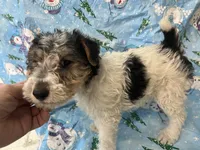 processed/0b91024d-6ca3-444d-bacc-fe2720fcc942/listing/5ee547c9-cbc1-4b87-bc3e-e7a40fcd9e57/89a864bb-1b03-4668-96ac-8f6f8b706675