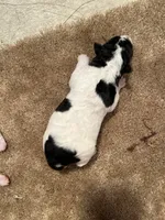 processed/0b91024d-6ca3-444d-bacc-fe2720fcc942/listing/5ee547c9-cbc1-4b87-bc3e-e7a40fcd9e57/a427d643-2e30-4596-b03d-78bb1271d12a