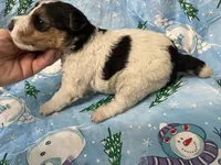 processed/0b91024d-6ca3-444d-bacc-fe2720fcc942/listing/5ee547c9-cbc1-4b87-bc3e-e7a40fcd9e57/c958e163-8ad2-4dce-a772-06352e321136