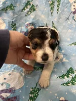 processed/0b91024d-6ca3-444d-bacc-fe2720fcc942/listing/5ee547c9-cbc1-4b87-bc3e-e7a40fcd9e57/d48c3874-e9ce-4778-9fd6-26980b8e6759