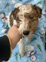 processed/0b91024d-6ca3-444d-bacc-fe2720fcc942/listing/5fd9e2ab-58c3-43d7-b5aa-5889199dcd91/45d4eeb7-d887-4699-be23-ebc8b0efee27