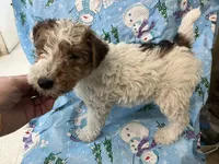 processed/0b91024d-6ca3-444d-bacc-fe2720fcc942/listing/5fd9e2ab-58c3-43d7-b5aa-5889199dcd91/7bf92440-3341-4e25-8f48-eb736ef4b68e