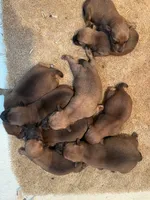 processed/0b91024d-6ca3-444d-bacc-fe2720fcc942/listing/6b1a951a-cb18-4503-b25c-b4447e090b38/8fe92f79-e916-4a97-8f0e-d96d91fb6be6