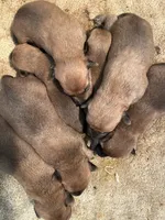 processed/0b91024d-6ca3-444d-bacc-fe2720fcc942/listing/6b1a951a-cb18-4503-b25c-b4447e090b38/ff1504e3-b97d-49f0-b33a-92bde9d85f7d