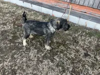 processed/0b91024d-6ca3-444d-bacc-fe2720fcc942/listing/c6df6eda-72cc-4e0c-bf75-657d96ddb203/61fbae31-6b4f-467b-8fb3-53741da9bfba