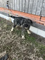 processed/0b91024d-6ca3-444d-bacc-fe2720fcc942/listing/c6df6eda-72cc-4e0c-bf75-657d96ddb203/b1de8fad-4d1d-4233-998f-09185d5d1286