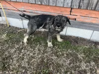 processed/0b91024d-6ca3-444d-bacc-fe2720fcc942/listing/c6df6eda-72cc-4e0c-bf75-657d96ddb203/dc3494b9-9fc2-4fb8-b794-278997bc6aad