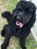 processed/0b96738e-1cd3-4cf0-9cca-17047e62aff3/facility/1240aec3-a962-4265-85f3-239b924a01d1