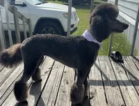 processed/0b96738e-1cd3-4cf0-9cca-17047e62aff3/facility/2e4532cd-1d7a-415f-87e1-edd542a423c2