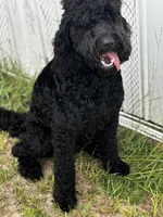 processed/0b96738e-1cd3-4cf0-9cca-17047e62aff3/facility/8d69fd9f-418c-4f1b-abb9-4d5dcd0385c5