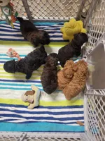 processed/0b9c045f-d017-4929-9347-fc9298e69320/facility/452e3dc7-a566-4819-8fb4-efe5d7d9b8dc