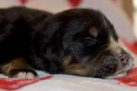 processed/0ba153fd-5622-4b62-91f2-ef95929c4403/listing/44b9aba7-a2c9-4154-b1f0-329292de24e3/04a9e02d-52df-4d96-837f-710a448847c6