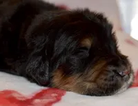 processed/0ba153fd-5622-4b62-91f2-ef95929c4403/listing/a259cbe6-1dd0-4508-9ac8-e24684194958/fbb2cfd9-f00e-4f16-805c-ee11c5195e6d