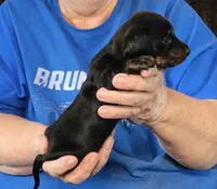 processed/0bade29b-87b4-41e7-beb6-f390b876096d/listing/18635d24-e97f-4897-9b54-2cb31fb9ea3e/0ef180a3-1a90-4350-8bc3-61bd64d74755