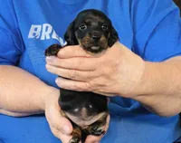 processed/0bade29b-87b4-41e7-beb6-f390b876096d/listing/18635d24-e97f-4897-9b54-2cb31fb9ea3e/1c0da2c4-0d29-419d-a3ff-fea008728064