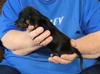 processed/0bade29b-87b4-41e7-beb6-f390b876096d/listing/18635d24-e97f-4897-9b54-2cb31fb9ea3e/20dc24e2-2290-4f72-8bdc-b457b017aaf1