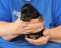 processed/0bade29b-87b4-41e7-beb6-f390b876096d/listing/18635d24-e97f-4897-9b54-2cb31fb9ea3e/76306c07-76be-456f-b80b-d67b247b5124