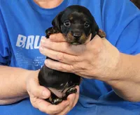 processed/0bade29b-87b4-41e7-beb6-f390b876096d/listing/18635d24-e97f-4897-9b54-2cb31fb9ea3e/c06d212d-a318-4426-9381-7878db1b1b62