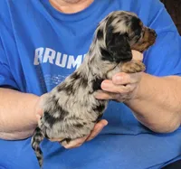 processed/0bade29b-87b4-41e7-beb6-f390b876096d/listing/46c97f77-ef23-4109-8ae3-eb8a1e83de05/298d875c-5c62-4b53-80a0-54b4ec12f413