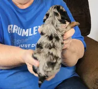 processed/0bade29b-87b4-41e7-beb6-f390b876096d/listing/46c97f77-ef23-4109-8ae3-eb8a1e83de05/e954336a-fddb-4b8e-a025-5f306096aa63