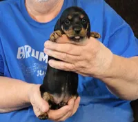 processed/0bade29b-87b4-41e7-beb6-f390b876096d/listing/7c2c0a04-a744-404d-8662-35b0d4fd6b2f/427e3ff0-0255-4328-ba93-a2d50dea25e3