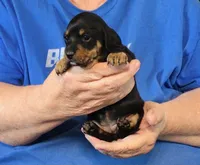 processed/0bade29b-87b4-41e7-beb6-f390b876096d/listing/7c2c0a04-a744-404d-8662-35b0d4fd6b2f/8971d8fc-96aa-4c1c-8b62-727c9370a089