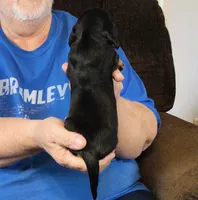 processed/0bade29b-87b4-41e7-beb6-f390b876096d/listing/7c2c0a04-a744-404d-8662-35b0d4fd6b2f/bbeadd9d-e690-407f-9cc5-03bd9999d315