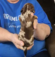 processed/0bade29b-87b4-41e7-beb6-f390b876096d/listing/80240f95-8d6d-4368-a391-55eac06119e7/1ebefd31-027a-42a7-9e3d-9b00419f2f30