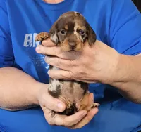 processed/0bade29b-87b4-41e7-beb6-f390b876096d/listing/80240f95-8d6d-4368-a391-55eac06119e7/2b4a96e1-f5f8-4a5a-8703-0dfaa458feb3