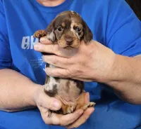 processed/0bade29b-87b4-41e7-beb6-f390b876096d/listing/80240f95-8d6d-4368-a391-55eac06119e7/6be86223-92b4-4d99-a025-46af4a6d153e