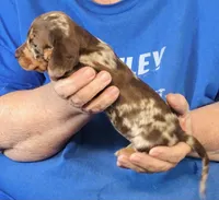 processed/0bade29b-87b4-41e7-beb6-f390b876096d/listing/80240f95-8d6d-4368-a391-55eac06119e7/abd1c07d-996d-4fd5-b64f-51274e138d92