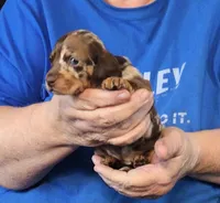 processed/0bade29b-87b4-41e7-beb6-f390b876096d/listing/80240f95-8d6d-4368-a391-55eac06119e7/f47f9323-19d2-497c-9ab9-c0ed7fd1c777