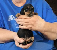 processed/0bade29b-87b4-41e7-beb6-f390b876096d/listing/c0caa74c-5de2-4a44-b3ac-3dc9d2924ba7/08479067-540c-4af5-ba3c-54cd3dfbe706