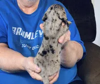 processed/0bade29b-87b4-41e7-beb6-f390b876096d/listing/c4e6ad6c-cb34-4c06-829a-c056dbc7ce43/02c549c4-2d3c-4652-9df5-4f60eaa52991