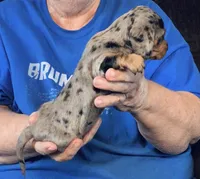 processed/0bade29b-87b4-41e7-beb6-f390b876096d/listing/c4e6ad6c-cb34-4c06-829a-c056dbc7ce43/25ee53c9-046f-4869-bcc2-2a7e676c7e1d