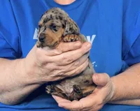 processed/0bade29b-87b4-41e7-beb6-f390b876096d/listing/c4e6ad6c-cb34-4c06-829a-c056dbc7ce43/fb8ca253-22b9-4195-bf63-42098baebe32