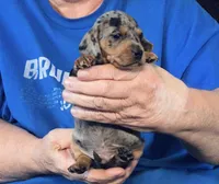 processed/0bade29b-87b4-41e7-beb6-f390b876096d/listing/d132c845-5ac0-4cd4-933f-e66cad0a812d/8806b399-1cfc-45c6-b77d-1051224b8d00