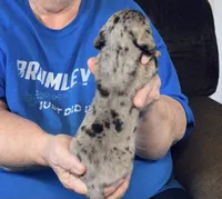 processed/0bade29b-87b4-41e7-beb6-f390b876096d/listing/d132c845-5ac0-4cd4-933f-e66cad0a812d/cb2b3fae-d83c-4dcc-bf16-b8adbedb5e21